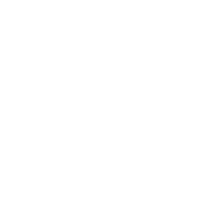 Finalist-NiagaraFallsInternationalShortFestival-November2021-300x300