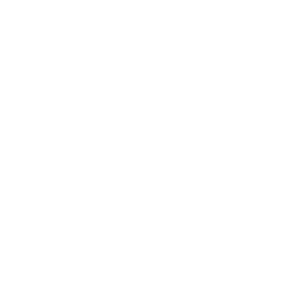OFFICIAL-SELECTION-Austria-International-Film-Festival-2021-300x300
