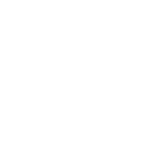 OFFICIAL-SELECTION-Bridge-Fest-2022-300x300