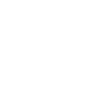 OFFICIAL-SELECTION-Washington-Film-Festival-2022-300x300