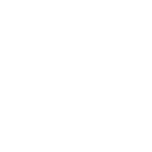 Winner-REELS-INTERNATIONAL-FILM-FESTIVAL-2022-300x300