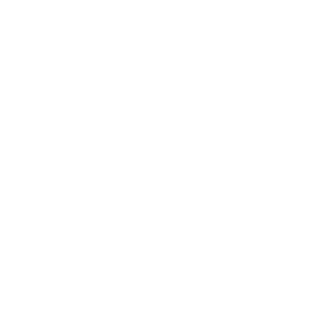 Winner-Vancouver-Bridge-Fest-2021-1-300x300